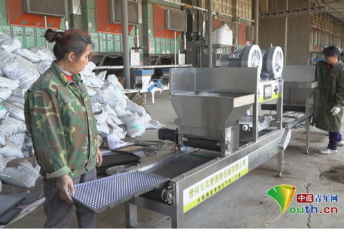 南昌新建區 育秧工廠播種忙，機械育秧助春耕